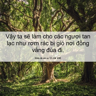 Picture 06 - Giê-rê-mi-a 13:24 VIE - Vậy ta sẽ làm cho các ngươi tan lạc - Bible Verse Picture