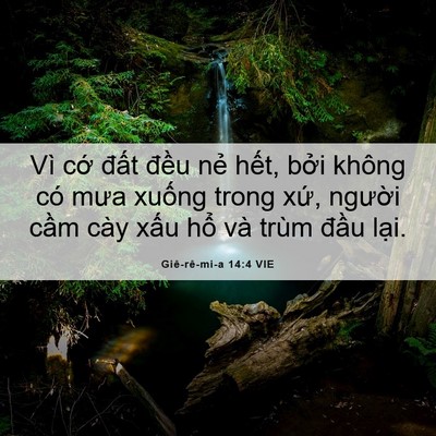 Picture 06 - Giê-rê-mi-a 14:4 VIE - Vì cớ đất đều nẻ hết, bởi không - Bible Verse Picture