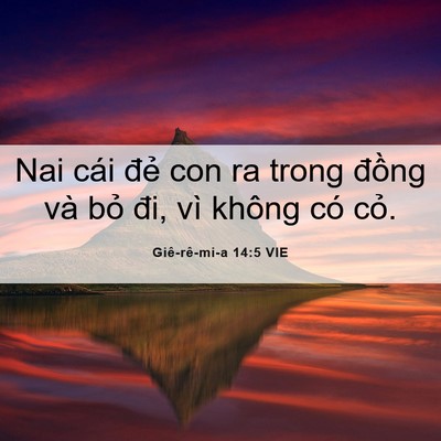 Picture 06 - Giê-rê-mi-a 14:5 VIE - Nai cái đẻ con ra trong đồng và bỏ đi, - Bible Verse Picture