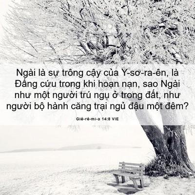 Picture 06 - Giê-rê-mi-a 14:8 VIE - Ngài là sự trông cậy của Y-sơ-ra-ên, - Bible Verse Picture