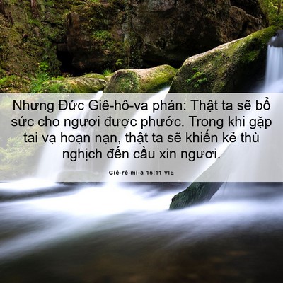 Picture 06 - Giê-rê-mi-a 15:11 VIE - Nhưng Đức Giê-hô-va phán: Thật ta sẽ - Bible Verse Picture