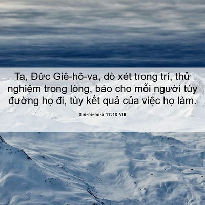Picture 06 - Giê-rê-mi-a 17:10 VIE - Ta, Đức Giê-hô-va, dò xét trong trí, - Bible Verse Picture