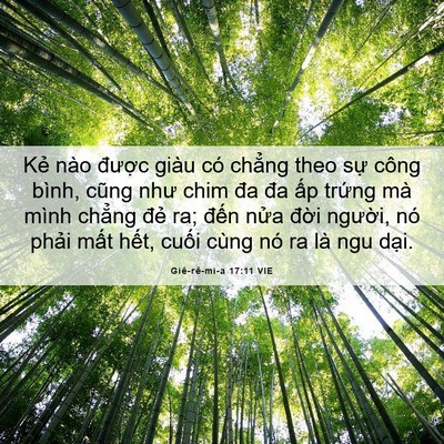 Picture 06 - Giê-rê-mi-a 17:11 VIE - Kẻ nào được giàu có chẳng theo sự - Bible Verse Picture