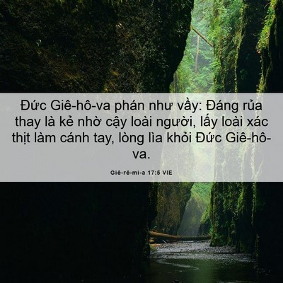 Picture 06 - Giê-rê-mi-a 17:5 VIE - Đức Giê-hô-va phán như vầy: Đáng rủa - Bible Verse Picture