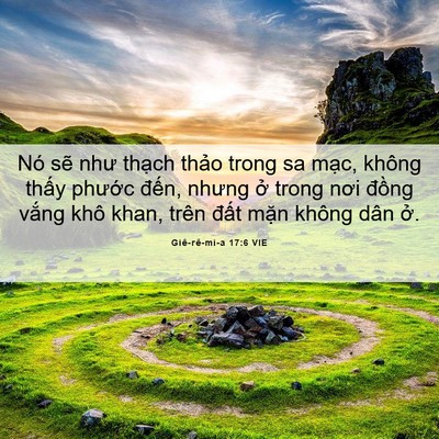 Picture 06 - Giê-rê-mi-a 17:6 VIE - Nó sẽ như thạch thảo trong sa mạc, - Bible Verse Picture