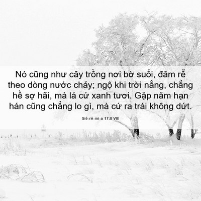 Picture 06 - Giê-rê-mi-a 17:8 VIE - Nó cũng như cây trồng nơi bờ suối, - Bible Verse Picture