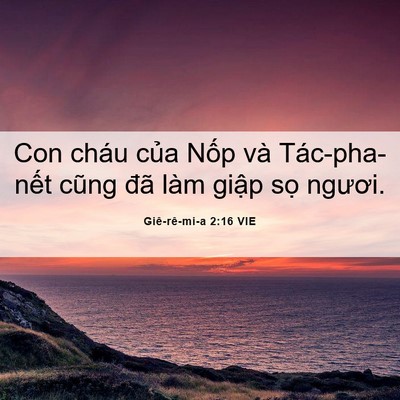 Picture 06 - Giê-rê-mi-a 2:16 VIE - Con cháu của Nốp và Tác-pha-nết cũng - Bible Verse Picture