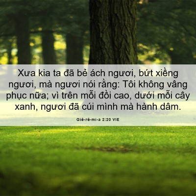 Picture 06 - Giê-rê-mi-a 2:20 VIE - Xưa kia ta đã bẻ ách ngươi, bứt xiềng - Bible Verse Picture