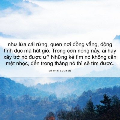 Picture 06 - Giê-rê-mi-a 2:24 VIE - như lừa cái rừng, quen nơi đồng vắng, - Bible Verse Picture