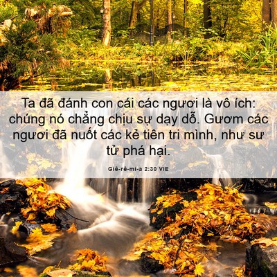 Picture 06 - Giê-rê-mi-a 2:30 VIE - Ta đã đánh con cái các ngươi là vô - Bible Verse Picture