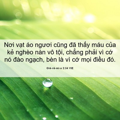 Picture 06 - Giê-rê-mi-a 2:34 VIE - Nơi vạt áo ngươi cũng đã thấy máu - Bible Verse Picture