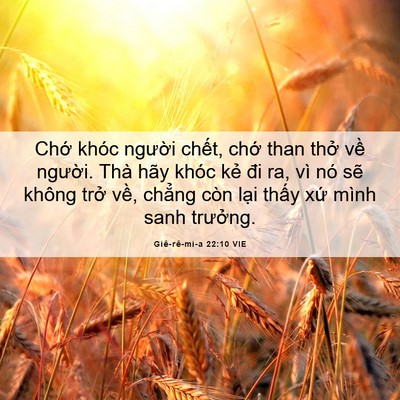 Picture 06 - Giê-rê-mi-a 22:10 VIE - Chớ khóc người chết, chớ than thở - Bible Verse Picture