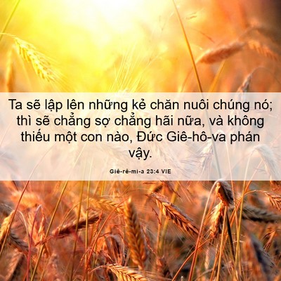 Picture 06 - Giê-rê-mi-a 23:4 VIE - Ta sẽ lập lên những kẻ chăn nuôi - Bible Verse Picture