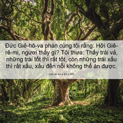 Picture 06 - Giê-rê-mi-a 24:3 VIE - Đức Giê-hô-va phán cùng tôi rằng: Hỡi - Bible Verse Picture