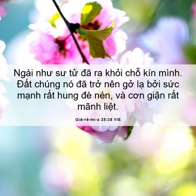Picture 06 - Giê-rê-mi-a 25:38 VIE - Ngài như sư tử đã ra khỏi chỗ kín - Bible Verse Picture