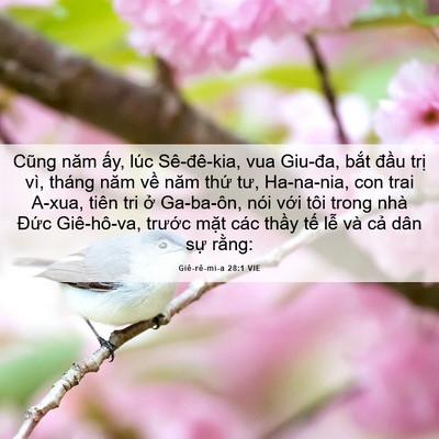 Picture 06 - Giê-rê-mi-a 28:1 VIE - Cũng năm ấy, lúc Sê-đê-kia, vua Giu-đa, - Bible Verse Picture