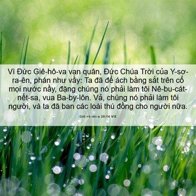 Picture 06 - Giê-rê-mi-a 28:14 VIE - Vì Đức Giê-hô-va vạn quân, Đức Chúa - Bible Verse Picture