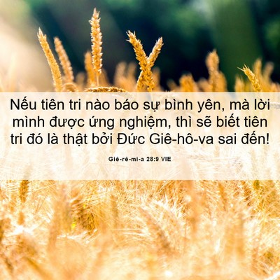 Picture 06 - Giê-rê-mi-a 28:9 VIE - Nếu tiên tri nào báo sự bình yên, mà - Bible Verse Picture