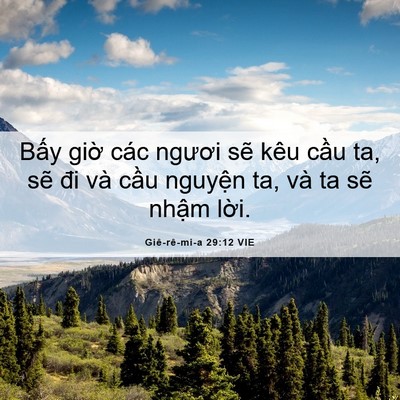 Picture 06 - Giê-rê-mi-a 29:12 VIE - Bấy giờ các ngươi sẽ kêu cầu ta, sẽ - Bible Verse Picture