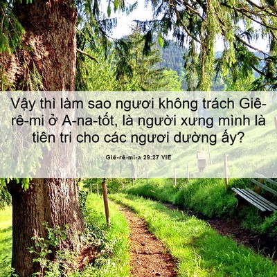 Picture 06 - Giê-rê-mi-a 29:27 VIE - Vậy thì làm sao ngươi không trách - Bible Verse Picture