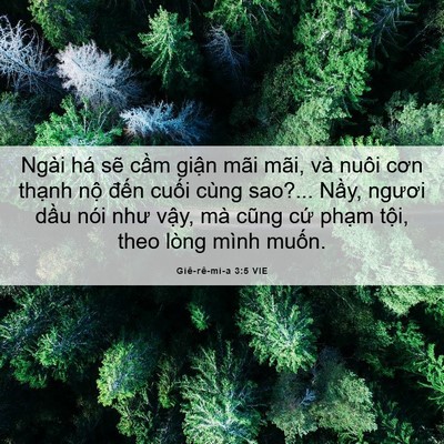 Picture 06 - Giê-rê-mi-a 3:5 VIE - Ngài há sẽ cầm giận mãi mãi, và nuôi - Bible Verse Picture