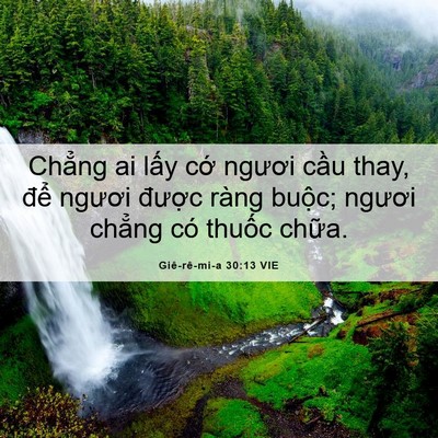 Picture 06 - Giê-rê-mi-a 30:13 VIE - Chẳng ai lấy cớ ngươi cầu thay, để - Bible Verse Picture