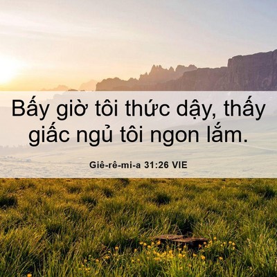 Picture 06 - Giê-rê-mi-a 31:26 VIE - Bấy giờ tôi thức dậy, thấy giấc - Bible Verse Picture