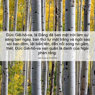 Picture 06 - Giê-rê-mi-a 31:35 VIE - Đức Giê-hô-va, là Đấng đã ban mặt - Bible Verse Picture