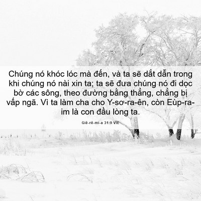 Picture 06 - Giê-rê-mi-a 31:9 VIE - Chúng nó khóc lóc mà đến, và ta sẽ - Bible Verse Picture