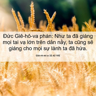 Picture 06 - Giê-rê-mi-a 32:42 VIE - Đức Giê-hô-va phán: Như ta đã giáng - Bible Verse Picture
