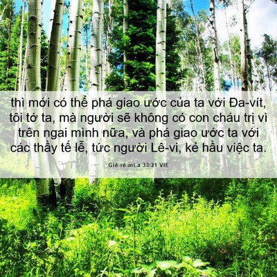Picture 06 - Giê-rê-mi-a 33:21 VIE - thì mới có thể phá giao ước của ta - Bible Verse Picture