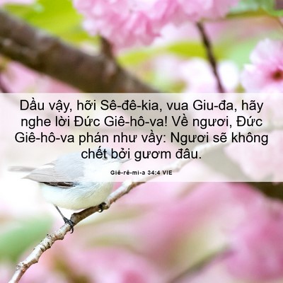 Picture 06 - Giê-rê-mi-a 34:4 VIE - Dầu vậy, hỡi Sê-đê-kia, vua Giu-đa, - Bible Verse Picture