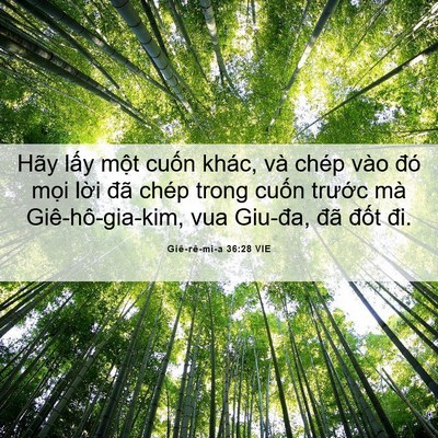 Picture 06 - Giê-rê-mi-a 36:28 VIE - Hãy lấy một cuốn khác, và chép vào - Bible Verse Picture