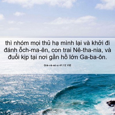 Picture 06 - Giê-rê-mi-a 41:12 VIE - thì nhóm mọi thủ hạ mình lại và - Bible Verse Picture