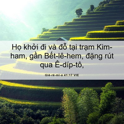 Picture 06 - Giê-rê-mi-a 41:17 VIE - Họ khởi đi và đỗ tại trạm Kim-ham, - Bible Verse Picture