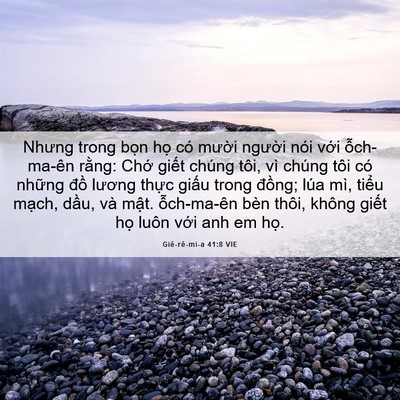 Picture 06 - Giê-rê-mi-a 41:8 VIE - Nhưng trong bọn họ có mười người nói - Bible Verse Picture