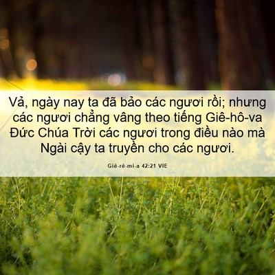 Picture 06 - Giê-rê-mi-a 42:21 VIE - Vả, ngày nay ta đã bảo các ngươi rồi; - Bible Verse Picture