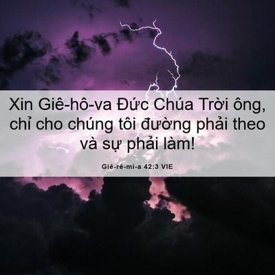 Picture 06 - Giê-rê-mi-a 42:3 VIE - Xin Giê-hô-va Đức Chúa Trời ông, chỉ - Bible Verse Picture