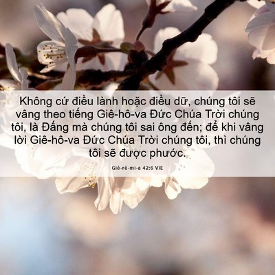 Picture 06 - Giê-rê-mi-a 42:6 VIE - Không cứ điều lành hoặc điều dữ, - Bible Verse Picture