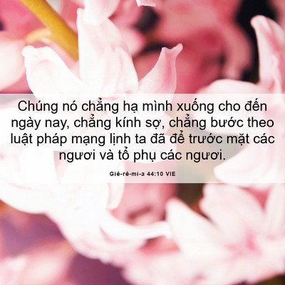 Picture 06 - Giê-rê-mi-a 44:10 VIE - Chúng nó chẳng hạ mình xuống cho đến - Bible Verse Picture