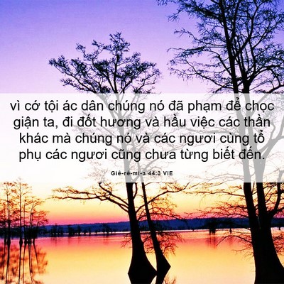 Picture 06 - Giê-rê-mi-a 44:3 VIE - vì cớ tội ác dân chúng nó đã phạm - Bible Verse Picture