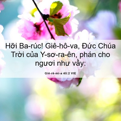 Picture 06 - Giê-rê-mi-a 45:2 VIE - Hỡi Ba-rúc! Giê-hô-va, Đức Chúa Trời - Bible Verse Picture