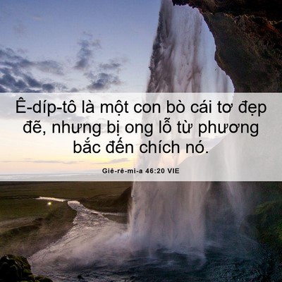 Picture 06 - Giê-rê-mi-a 46:20 VIE - Ê-díp-tô là một con bò cái tơ đẹp - Bible Verse Picture