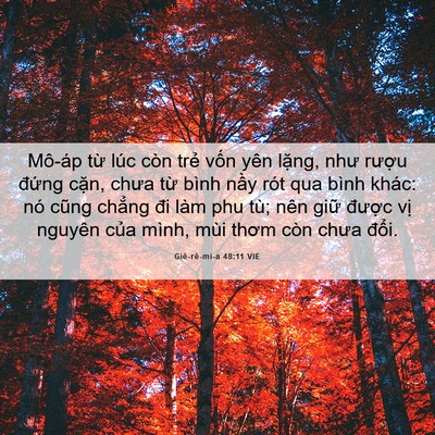 Picture 06 - Giê-rê-mi-a 48:11 VIE - Mô-áp từ lúc còn trẻ vốn yên lặng, - Bible Verse Picture