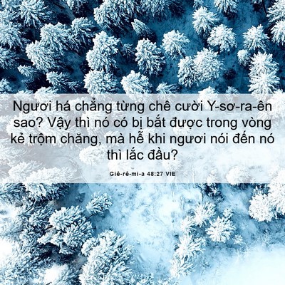 Picture 06 - Giê-rê-mi-a 48:27 VIE - Ngươi há chẳng từng chê cười - Bible Verse Picture
