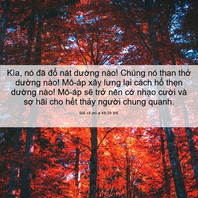 Picture 06 - Giê-rê-mi-a 48:39 VIE - Kìa, nó đã đổ nát dường nào! Chúng - Bible Verse Picture