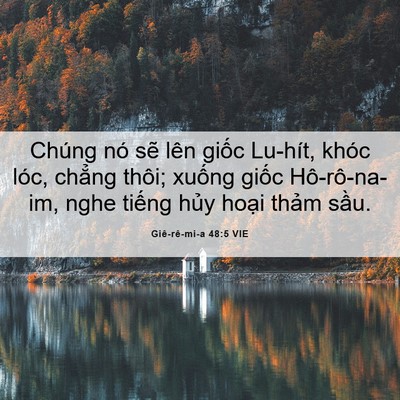 Picture 06 - Giê-rê-mi-a 48:5 VIE - Chúng nó sẽ lên giốc Lu-hít, khóc lóc, - Bible Verse Picture
