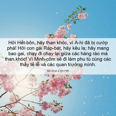 Picture 06 - Giê-rê-mi-a 49:3 VIE - Hỡi Hết-bôn, hãy than khóc, vì A-hi đã - Bible Verse Picture