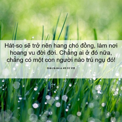Picture 06 - Giê-rê-mi-a 49:33 VIE - Hát-so sẽ trở nên hang chó đồng, làm - Bible Verse Picture