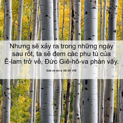 Picture 06 - Giê-rê-mi-a 49:39 VIE - Nhưng sẽ xảy ra trong những ngày sau - Bible Verse Picture